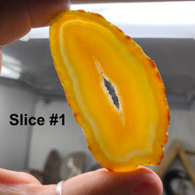 Cargar imagen en el visor de la galería, Natural Small Agate Slices
