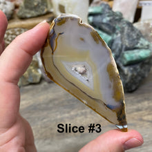 将图像加载到图库查看器中，Natural Small Agate Slices
