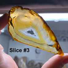 Carica l&#39;immagine nel visualizzatore di Gallery, Natural Small Agate Slices
