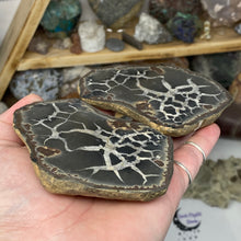 Carica l&#39;immagine nel visualizzatore di Gallery, Septarian Nodule Pair #12
