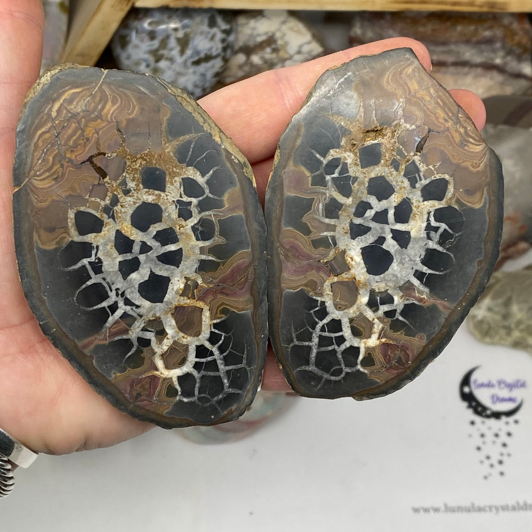 Septarian Nodule Pair #18