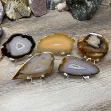 将图像加载到图库查看器中，Natural Small Agate Slices
