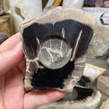 Load image into Gallery viewer, Petrified Wood Stand #01
