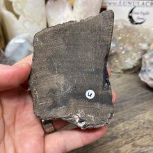 Load image into Gallery viewer, Petrified Wood Stand #06
