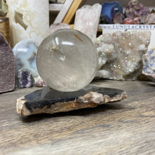 Load image into Gallery viewer, Petrified Wood Stand #07
