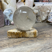 Load image into Gallery viewer, Petrified Wood Stand #09

