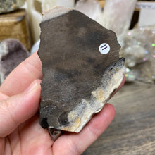 Load image into Gallery viewer, Petrified Wood Stand #11

