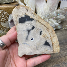 Load image into Gallery viewer, Petrified Wood Stand #20
