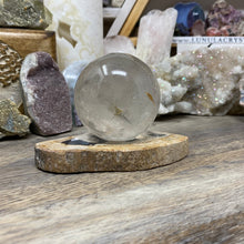 Load image into Gallery viewer, Petrified Wood Stand #20
