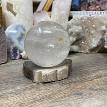 Load image into Gallery viewer, Petrified Wood Stand #23
