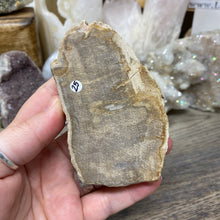 Load image into Gallery viewer, Petrified Wood Stand #25
