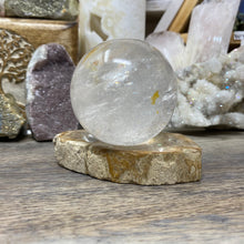 Load image into Gallery viewer, Petrified Wood Stand #25
