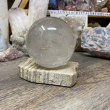 Load image into Gallery viewer, Petrified Wood Stand #30
