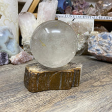 Load image into Gallery viewer, Petrified Wood Stand #31
