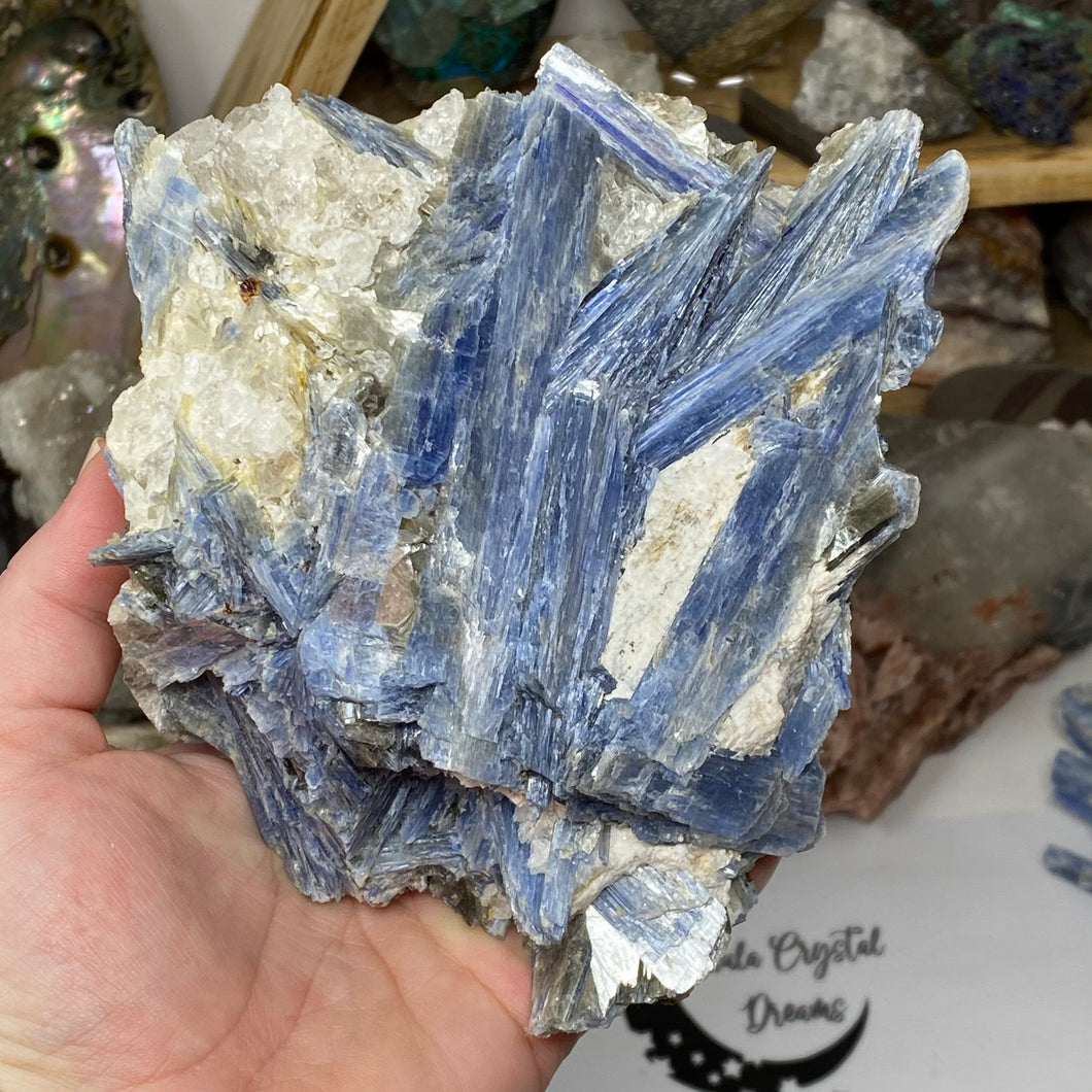 Blue Kyanite Cluster #02 with Garnet