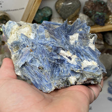 Load image into Gallery viewer, Blue Kyanite Cluster #02 with Garnet
