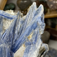 Load image into Gallery viewer, Blue Kyanite Cluster #02 with Garnet
