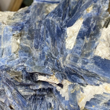 Load image into Gallery viewer, Blue Kyanite Cluster #02 with Garnet

