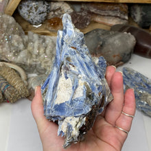 Load image into Gallery viewer, Blue Kyanite Cluster #02 with Garnet
