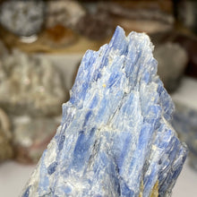 Chargez l&#39;image dans la visionneuse de la galerie, Blue Kyanite Cluster #04 with Garnet
