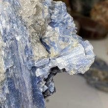 Chargez l&#39;image dans la visionneuse de la galerie, Blue Kyanite Cluster #04 with Garnet
