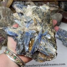 将图像加载到图库查看器中，Blue Kyanite Cluster #05 with Garnet
