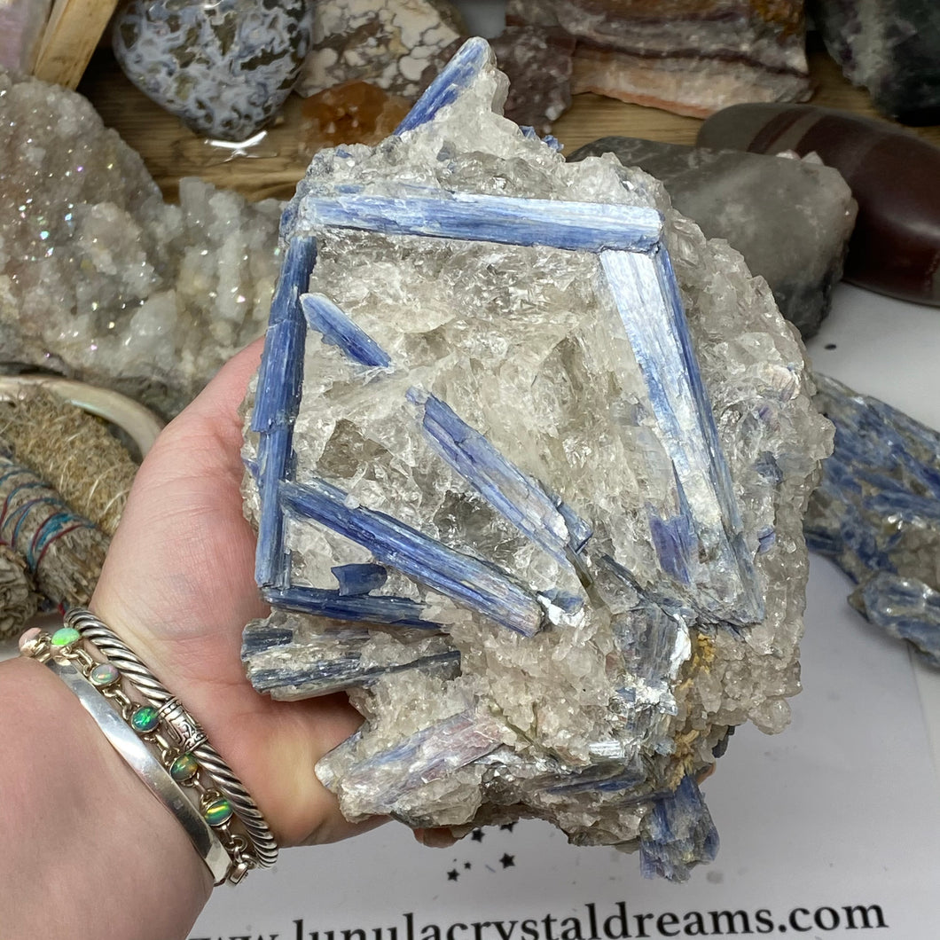 Blue Kyanite Cluster #06