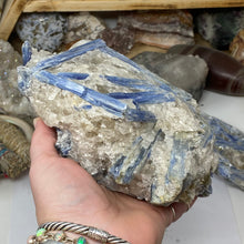 Load image into Gallery viewer, Blue Kyanite Cluster #06
