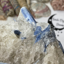 将图像加载到图库查看器中，Blue Kyanite Cluster #06
