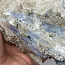 将图像加载到图库查看器中，Blue Kyanite Cluster #06

