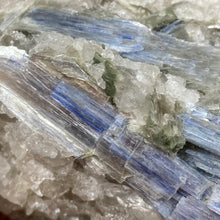 将图像加载到图库查看器中，Blue Kyanite Cluster #06
