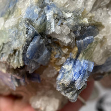 将图像加载到图库查看器中，Blue Kyanite Cluster #06
