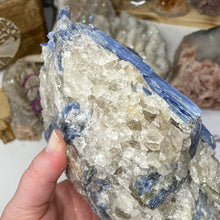 将图像加载到图库查看器中，Blue Kyanite Cluster #06

