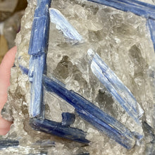 将图像加载到图库查看器中，Blue Kyanite Cluster #06
