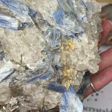 将图像加载到图库查看器中，Blue Kyanite Cluster #06
