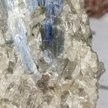 将图像加载到图库查看器中，Blue Kyanite Cluster #06
