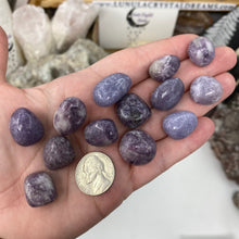 将图像加载到图库查看器中，Lepidolite Tumbled Stones
