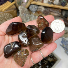 将图像加载到图库查看器中，Smoky Quartz Medium / Large Tumbles
