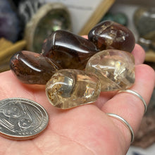 将图像加载到图库查看器中，Smoky Quartz Medium / Large Tumbles
