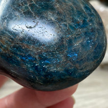 将图像加载到图库查看器中，Blue Apatite Large Heart Palm Stone #02
