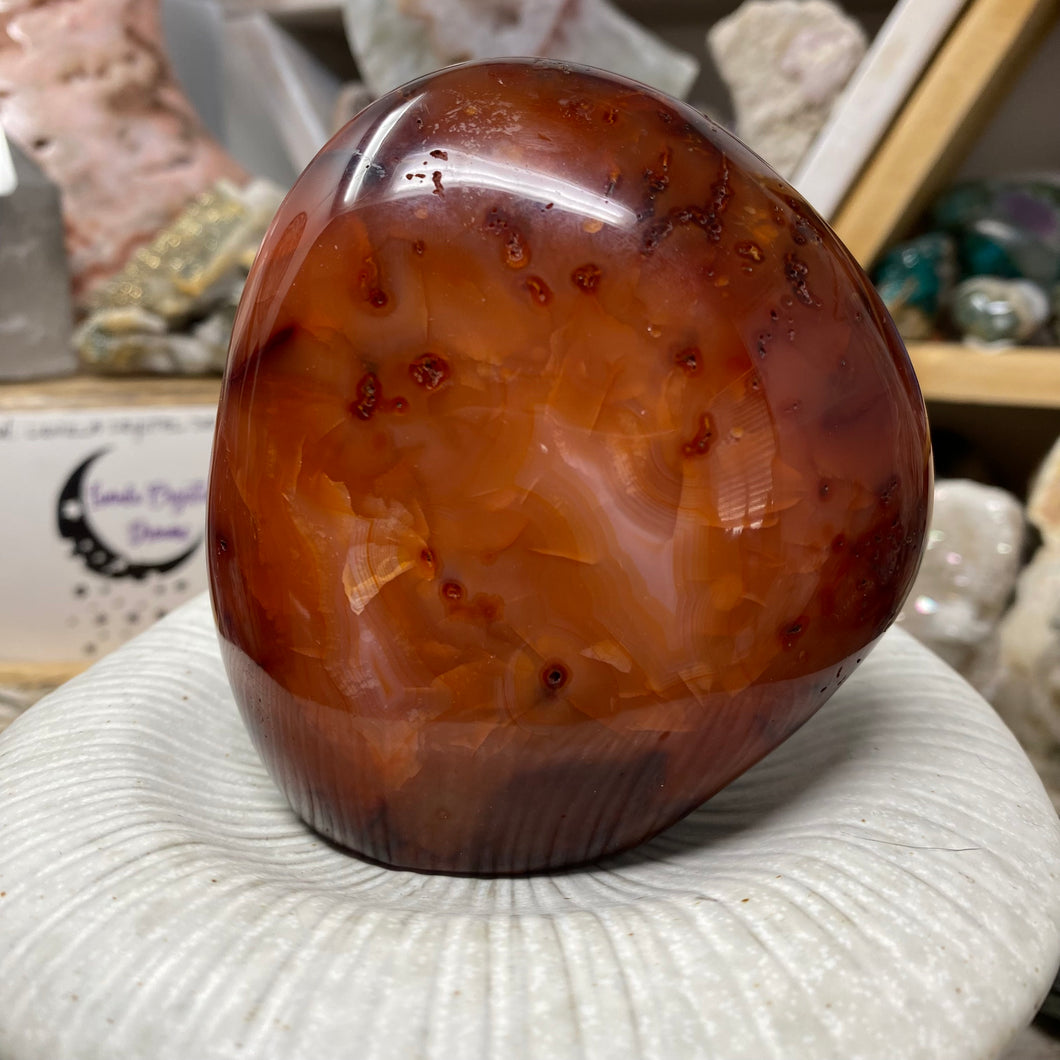 Carnelian Freeform #04