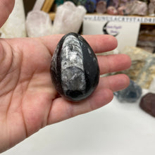 Bild in Galerie-Viewer laden, Orthoceras &amp; Goniatite Ammonite Egg #01
