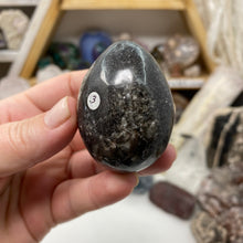 将图像加载到图库查看器中，Orthoceras &amp; Goniatite Ammonite Egg #03
