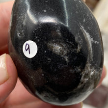 Carica l&#39;immagine nel visualizzatore di Gallery, Orthoceras &amp; Goniatite Ammonite Egg #09
