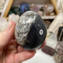 Chargez l&#39;image dans la visionneuse de la galerie, Orthoceras &amp; Goniatite Ammonite Egg #13
