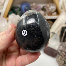 Chargez l&#39;image dans la visionneuse de la galerie, Orthoceras &amp; Goniatite Ammonite Egg #13
