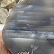 将图像加载到图库查看器中，Natural Large Agate Slice #04
