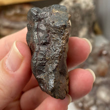 Load image into Gallery viewer, Botryoidal Hematite #16
