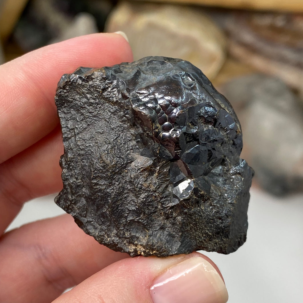 Botryoidal Hematite #23