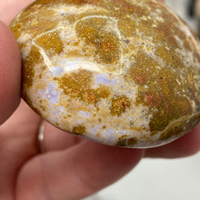 Load image into Gallery viewer, Ocean Jasper Palm Stone #13
